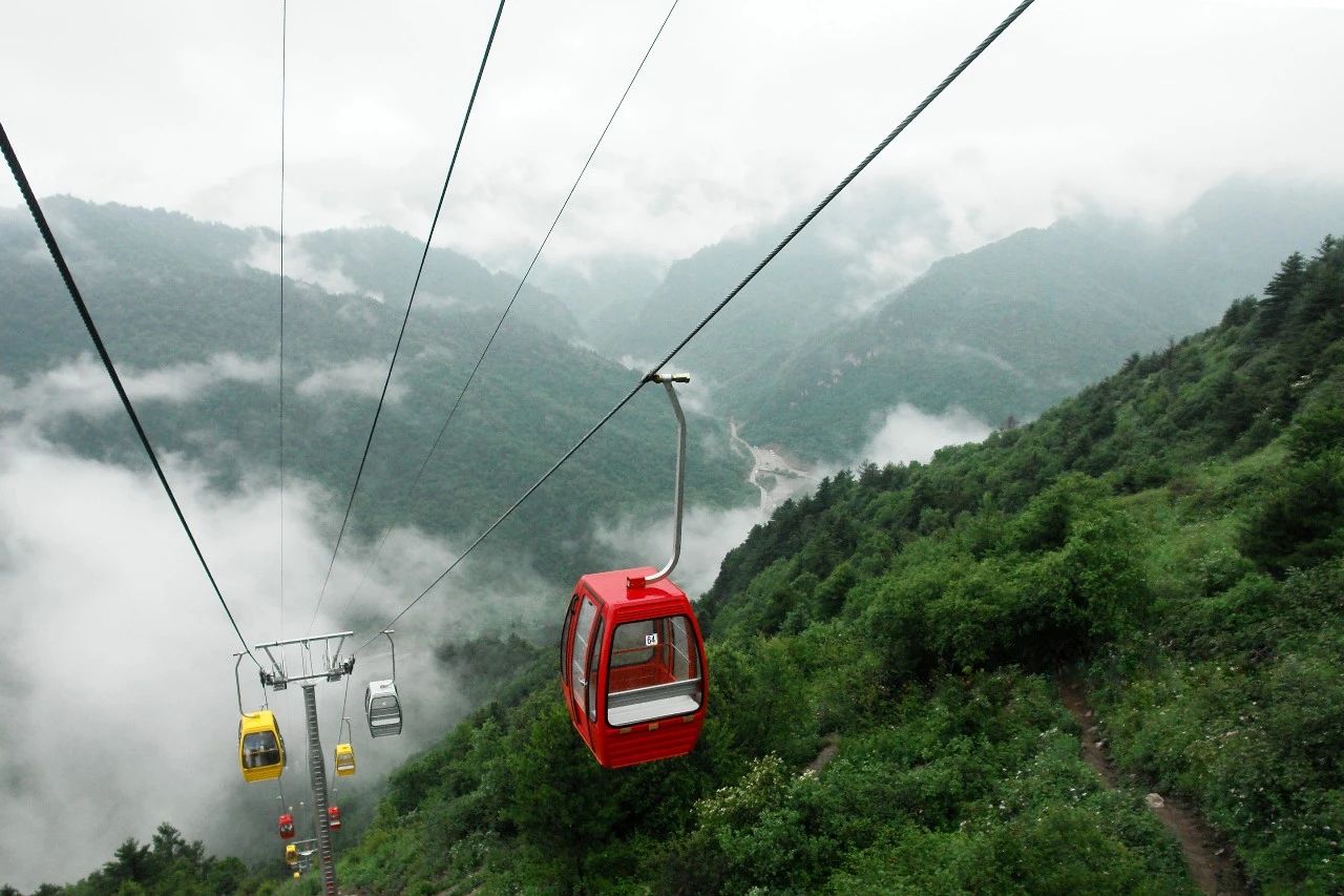 壹定发(中国游)最新官方网站