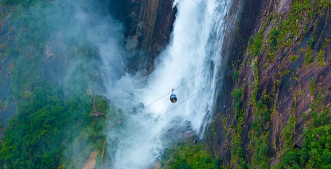 壹定发(中国游)最新官方网站