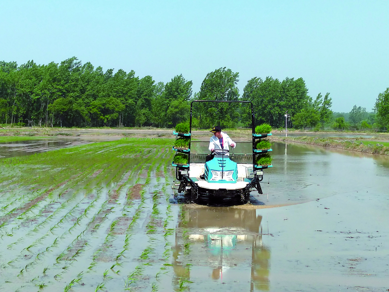 壹定发(中国游)最新官方网站